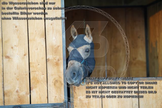 s_K3F07656.JPG